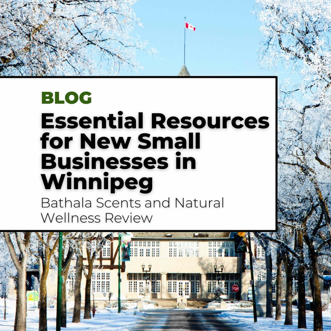 Essential Resources for New Small Businesses in Winnipeg - Bathala Scents and Natural Wellness