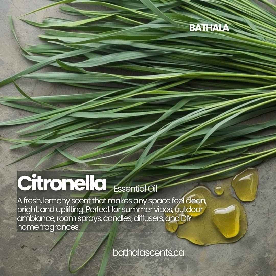 Citronella Essential Oil - Bathala - Bathala Scents and Natural Wellness