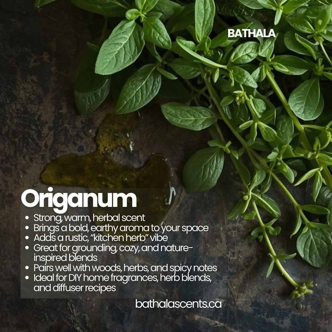 Origanum Essential Oil - Bathala Scents - Bathala Scents and Natural Wellness