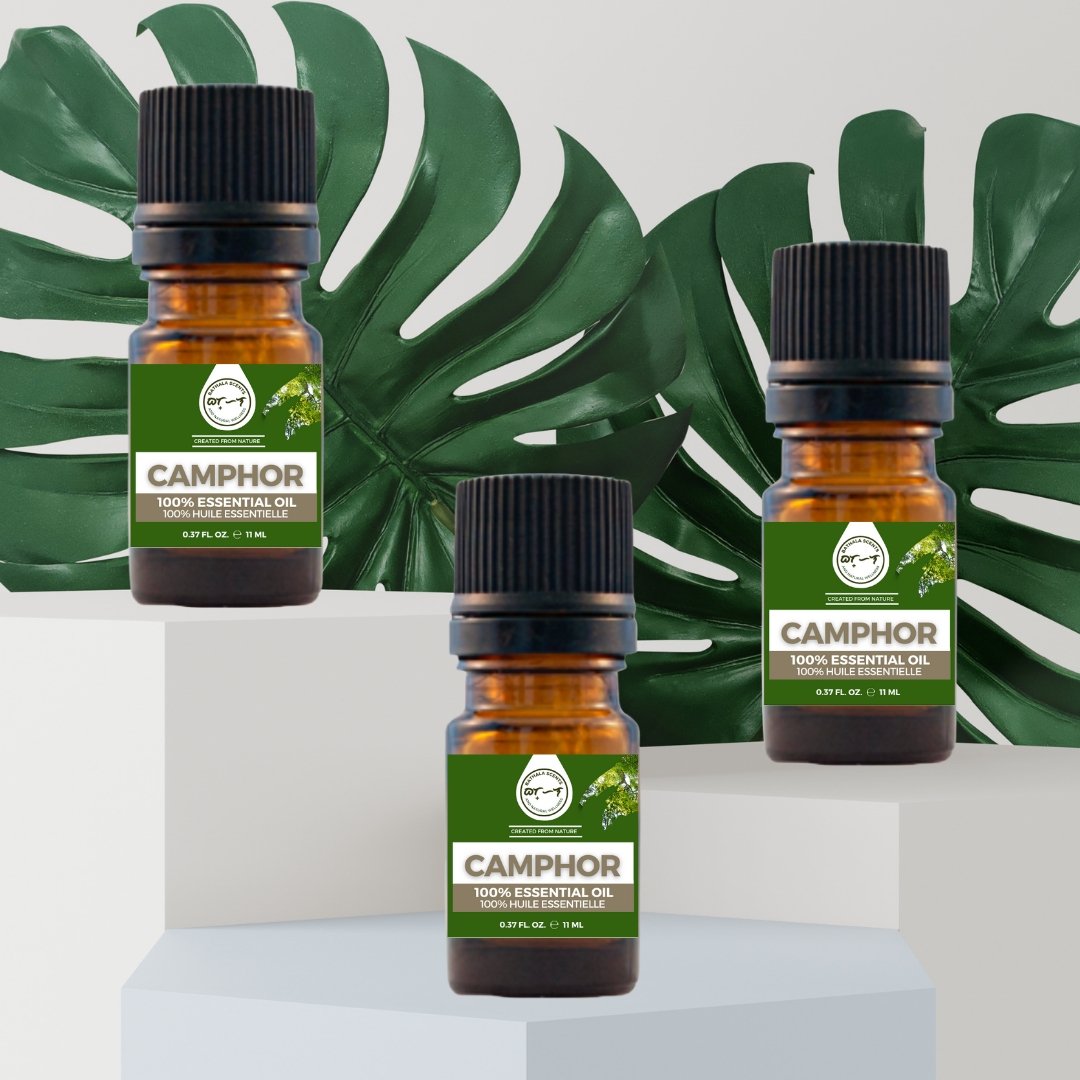 Camphor Essential Oil 11ml I Bathala Scents - Bathala Scents and Natural Wellness