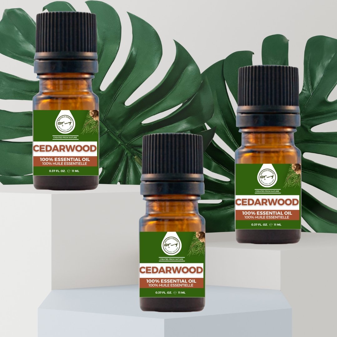Cedarwood Essential Oil 11ml I Bathala Scents - Bathala Scents and Natural Wellness