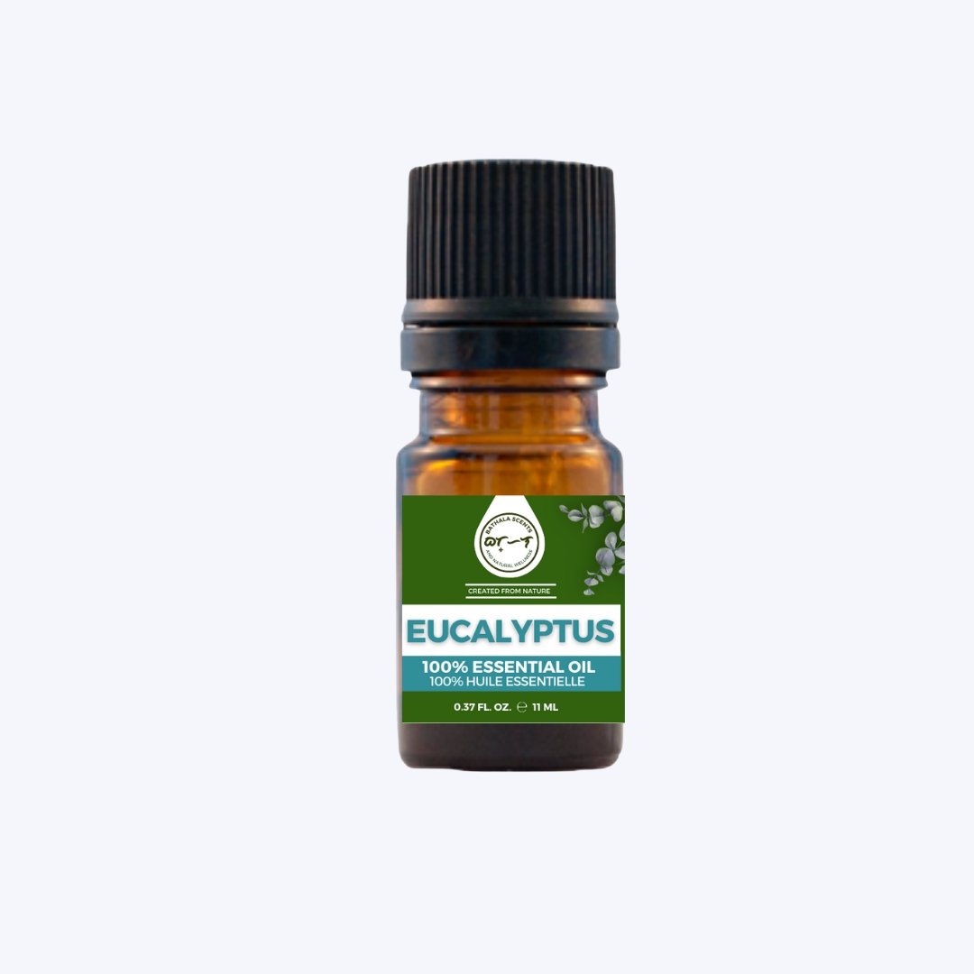 Eucalyptus Essential Oil 11ml I Bathala Scents - Bathala Scents and Natural Wellness