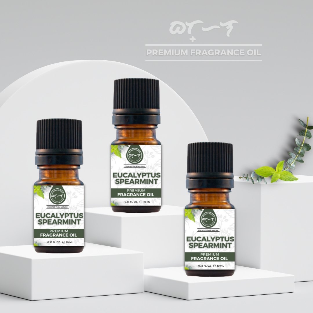 Eucalyptus Spearmint I Bathala Scents I Premium Fragrance Oil 10ml - Bathala Scents and Natural Wellness