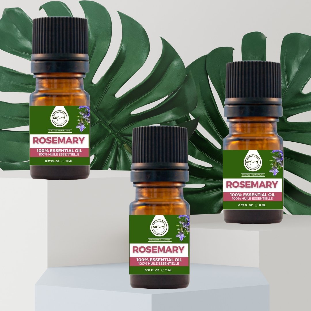 Rosemary Essential Oil 11ml I Bathala Scents - Bathala Scents and Natural Wellness
