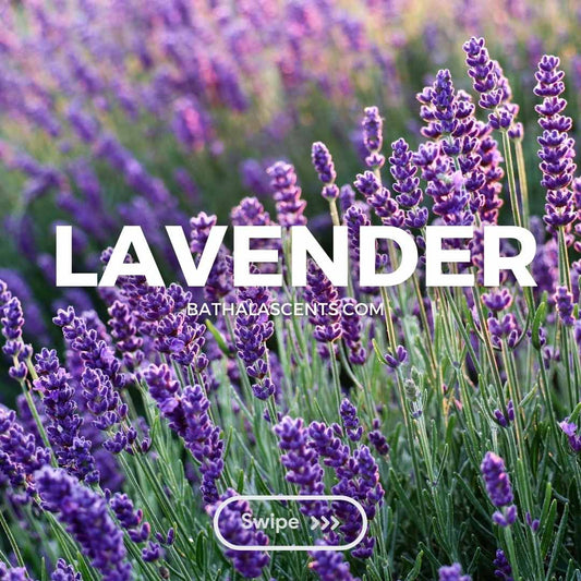 Lavender I Bathala Scents and Natural Wellness - Bathala Scents and Natural Wellness