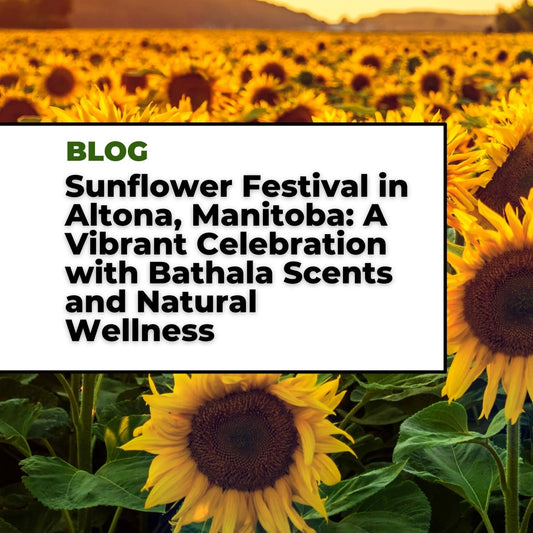 Sunflower Festival in Altona, Manitoba: A Vibrant Celebration with Bathala Scents and Natural Wellness - Bathala Scents and Natural Wellness