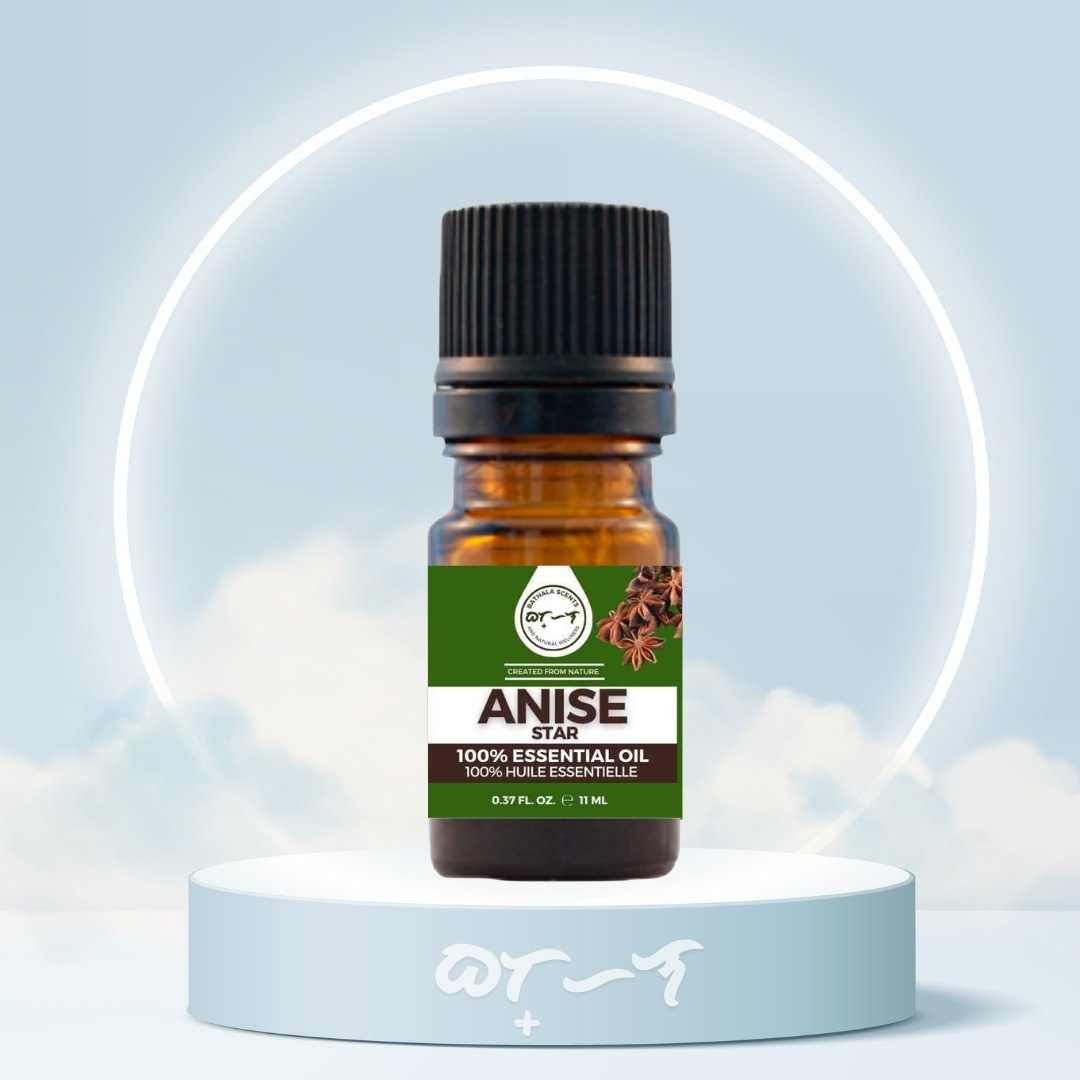Anise Star Essential Oil 11ml - Bathala Scents - Bathala Scents and Natural Wellness