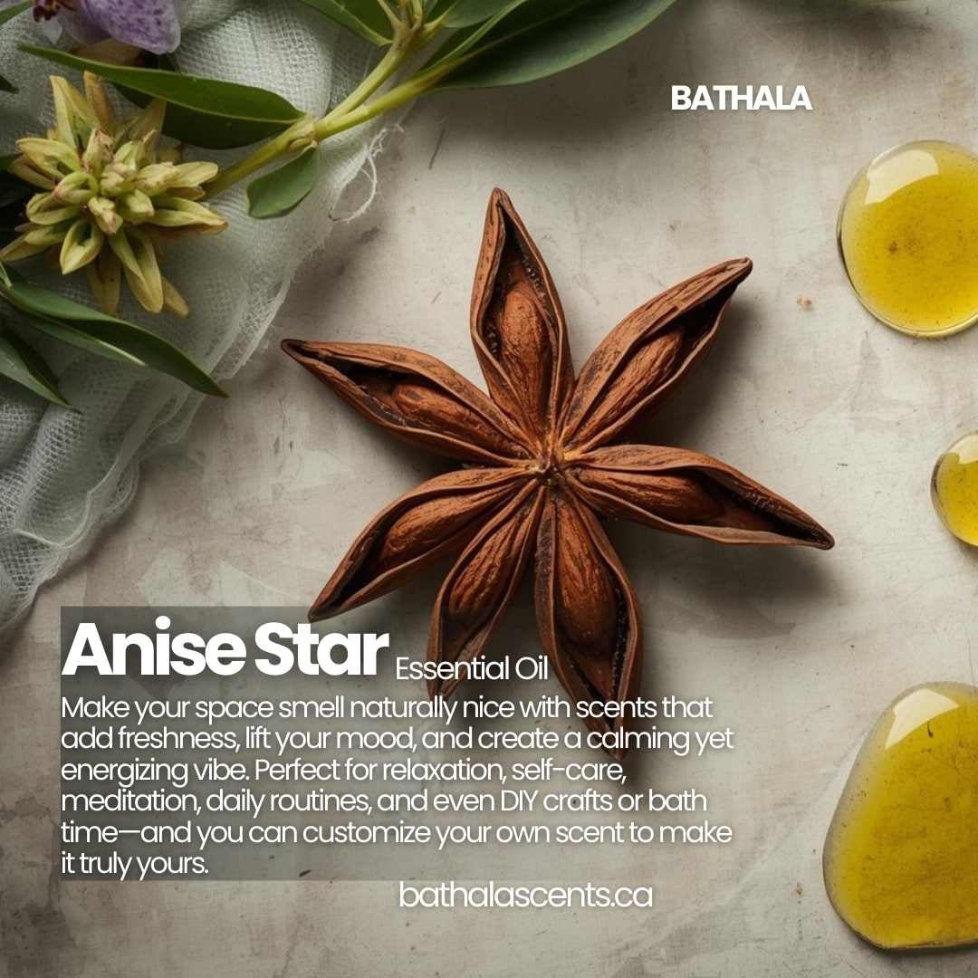 Anise Star Essential Oil 11ml - Bathala Scents - Bathala Scents and Natural Wellness