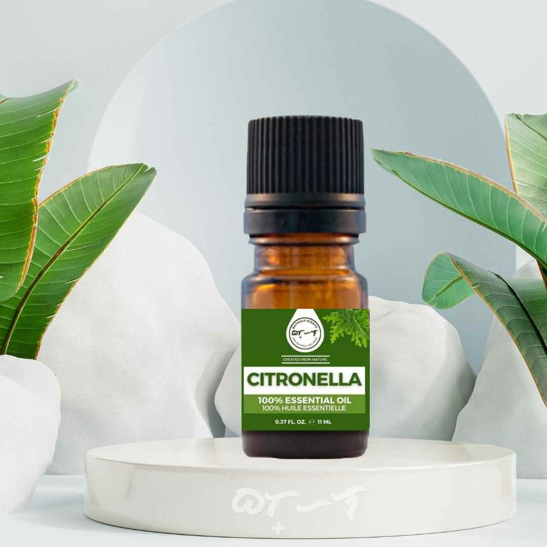 Citronella Essential Oil - Bathala - Bathala Scents and Natural Wellness