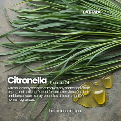 Citronella Essential Oil - Bathala - Bathala Scents and Natural Wellness