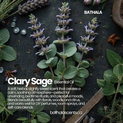 Clary Sage Essential Oil - Bathala - Bathala Scents and Natural Wellness