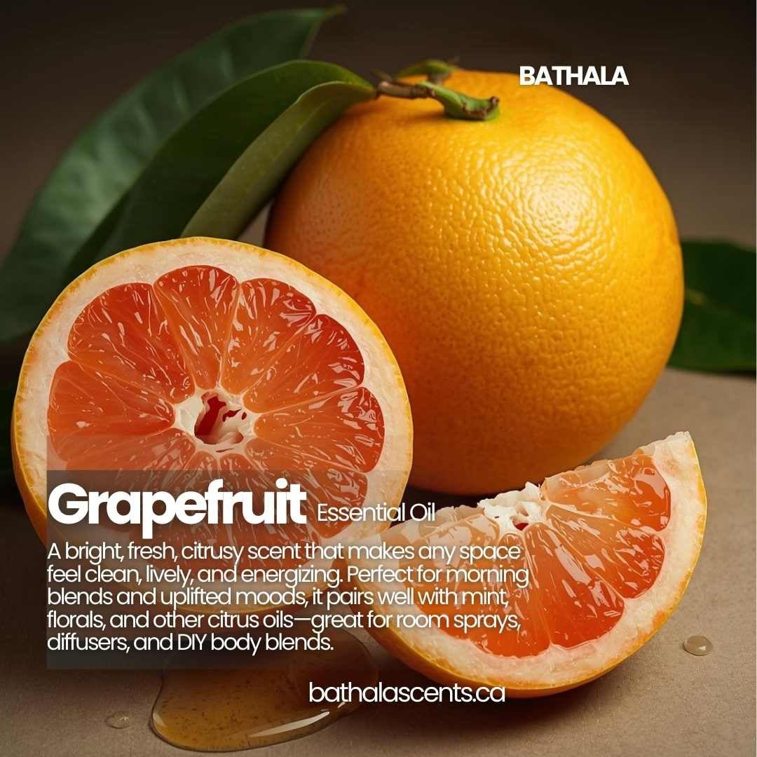 Orange Sweet Essential Oil 11ml - Bathala Scents - Bathala Scents and Natural Wellness