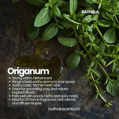 Origanum Essential Oil - Bathala Scents - Bathala Scents and Natural Wellness
