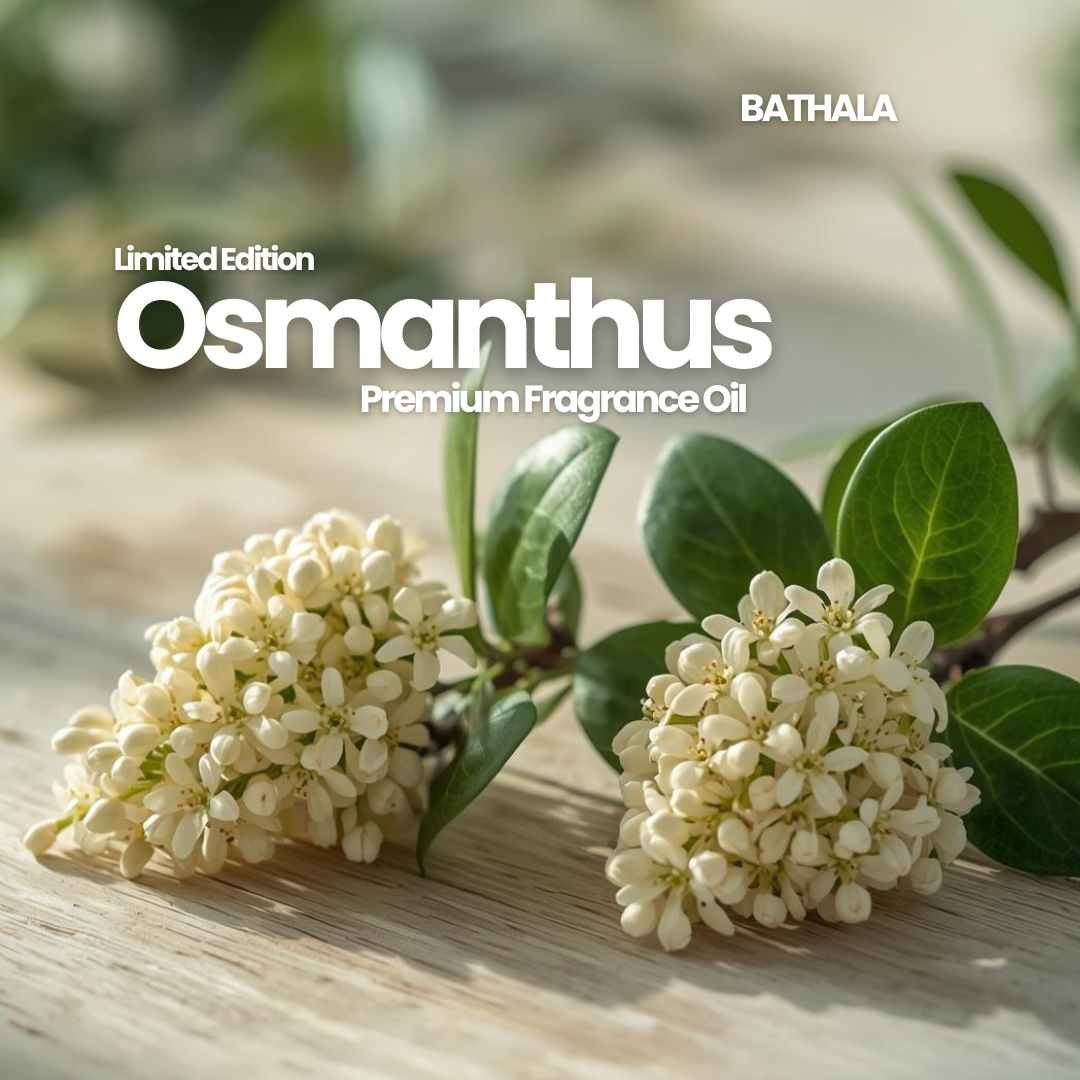 Osmanthus - Bathala Scents - Premium Fragrance Oil - Bathala Scents and Natural Wellness