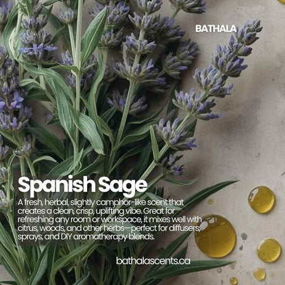 Spanish Sage Essential Oil 11ml - Bathala Scents - Bathala Scents and Natural Wellness