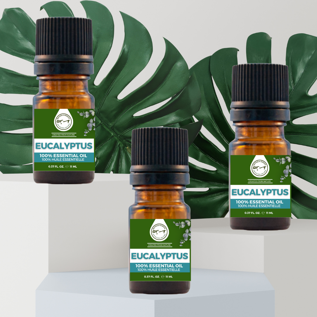 Eucalyptus Essential Oil 11ml I Bathala Scents