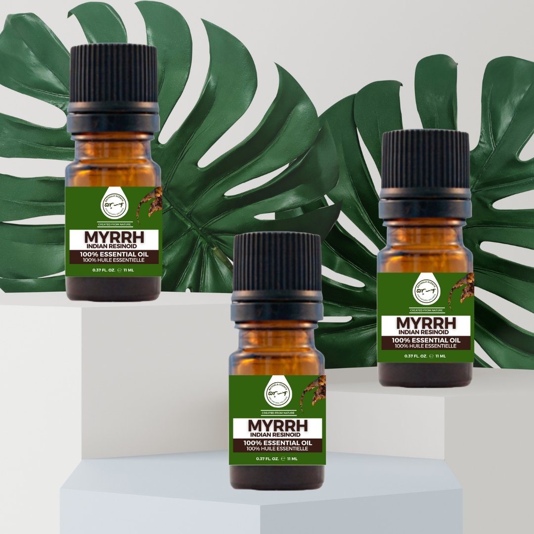 Myrrh Essential Oil 11ml I Bathala Scents - Bathala Scents and Natural Wellness